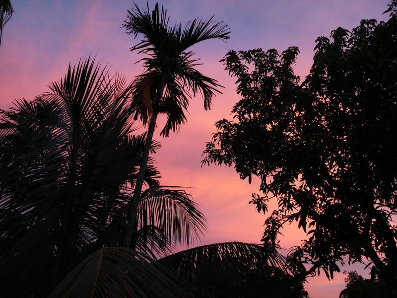 Just before sunset picture