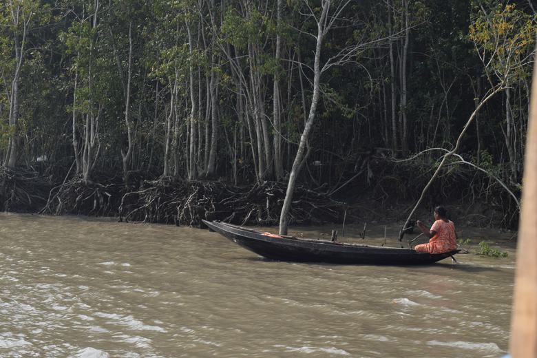 An Woman at Sundarban