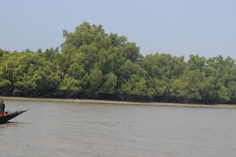 Beautiful Sundarban- Explore