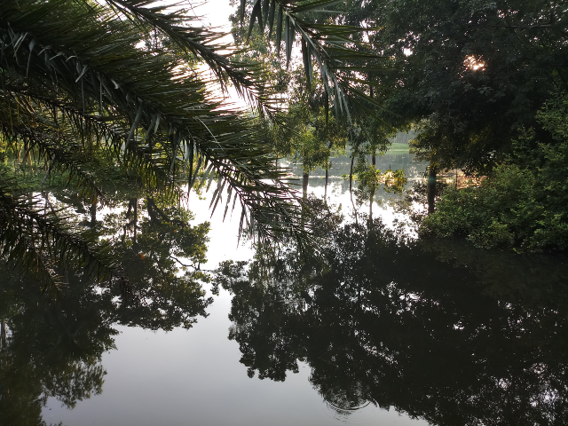 A pond affected by flood