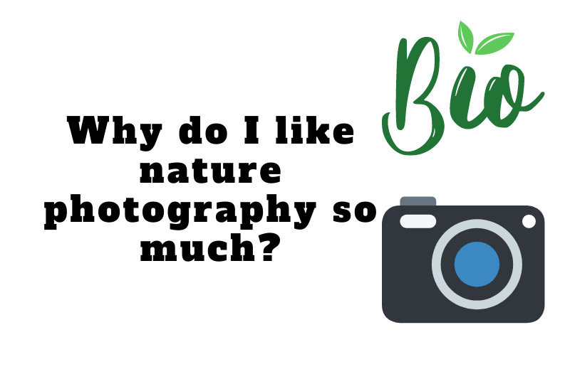 Why do I like nature photography so much? 1 I like nature photography
