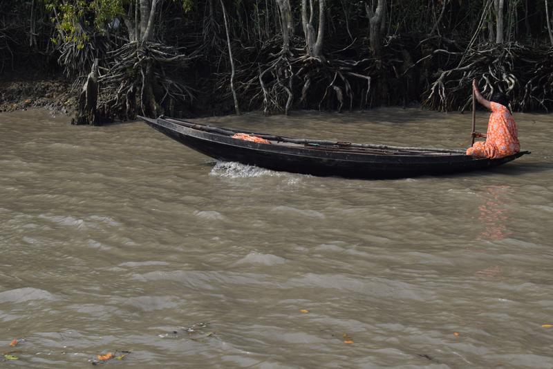 A woman is boating on a river near the Sundarbans