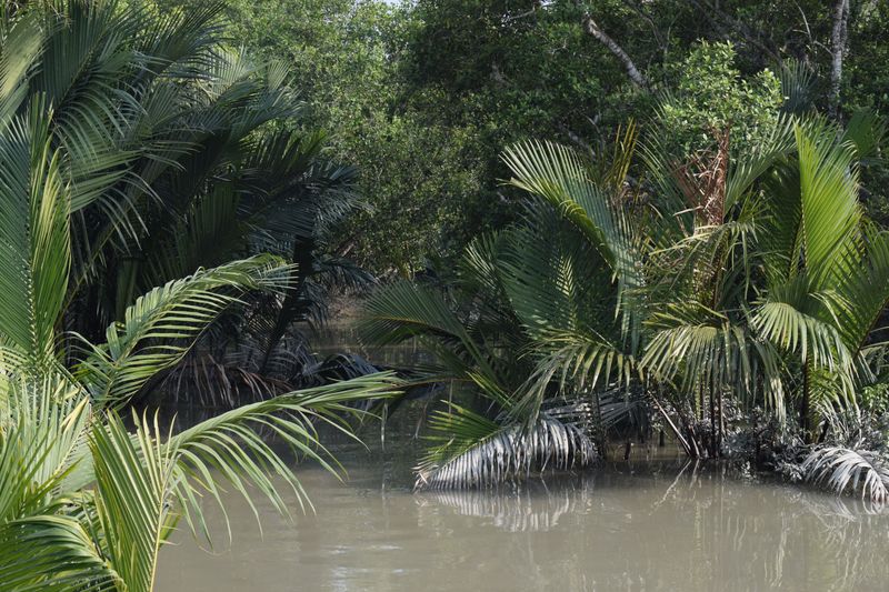 Amazing Harbaria Sundarban Eco-Tourism Center tour tips 2022 13 Canal in Sundarban