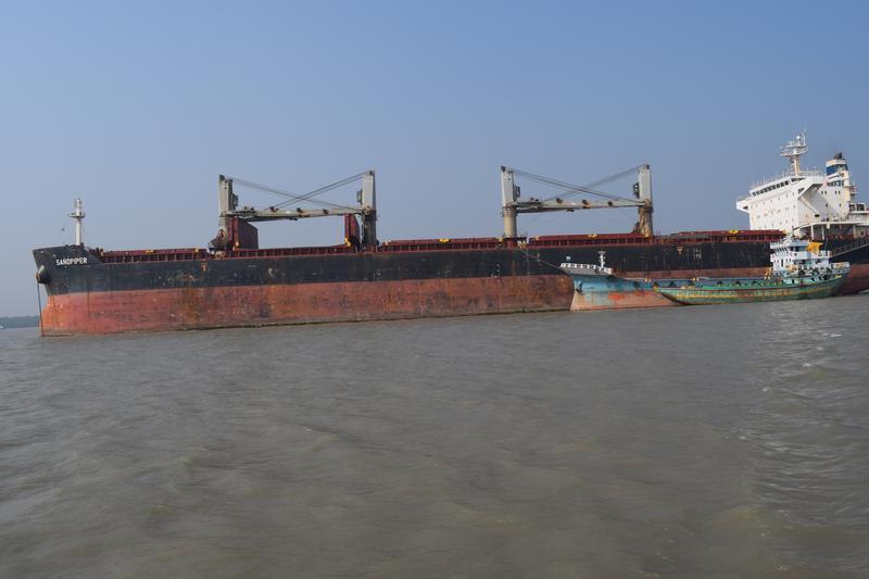 SANDPIPER Bulk Carrier