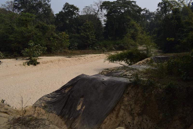 Satchari National Park 2021