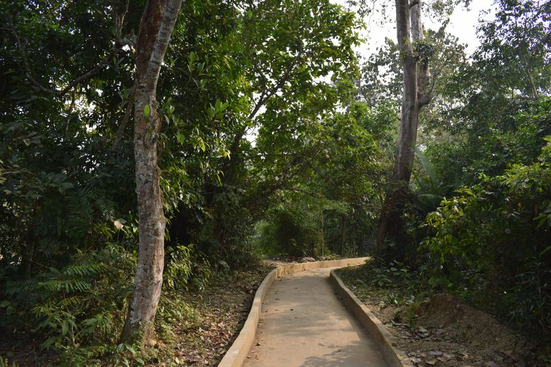 Satchari National Park Habiganj