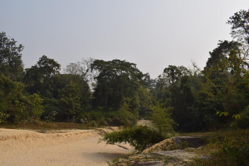 Satchari National park habiganj sylhet