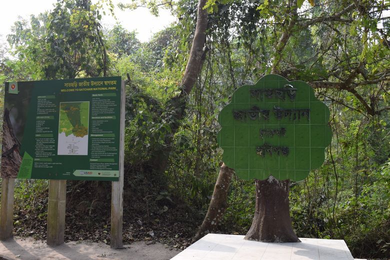 Satchari national park Habiganj