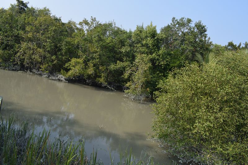 Amazing Harbaria Sundarban Eco-Tourism Center tour tips 2022 12 Small water bodies in Sundarban