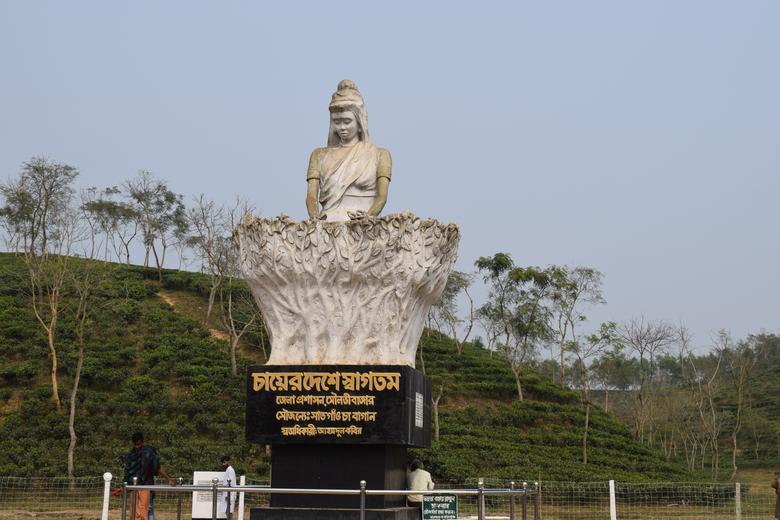 Tea daughter of Moulvibazar district