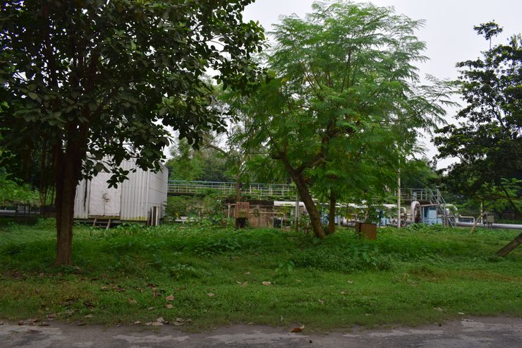 Wonderful Jetty Ghat Park