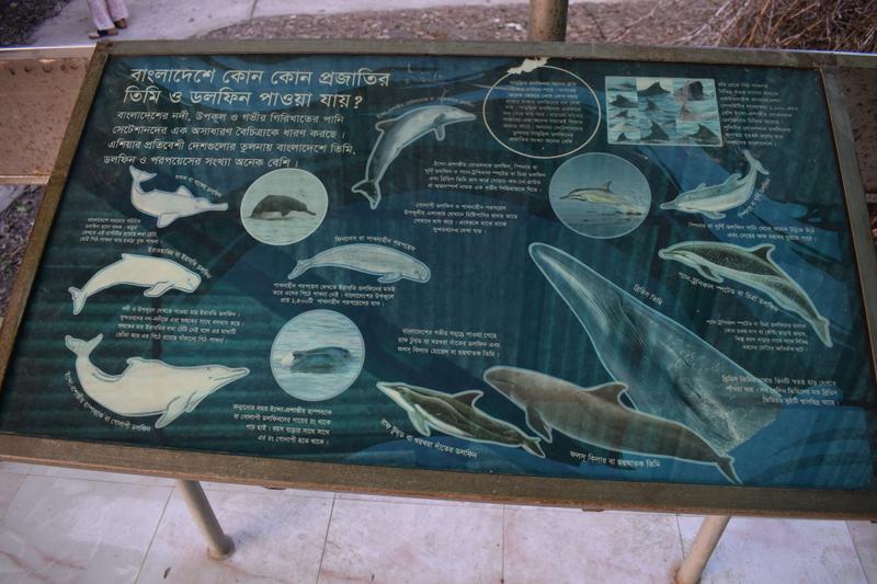 বাংলাদেশের বিভিন্ন প্রাণীর আবাস সম্পর্কে কিছু তথ্য বাংলাদেশের বিভিন্ন জলজ প্রাণীর আবাস সম্পর্কে কিছু তথ্য