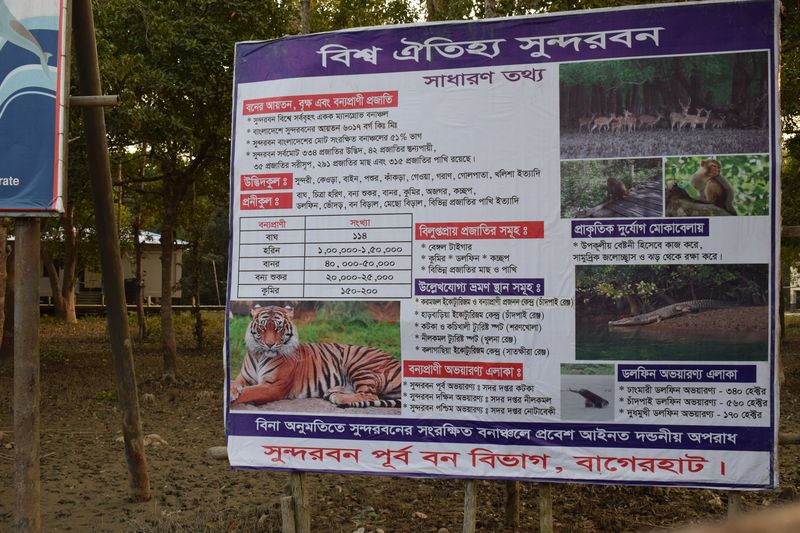 সুন্দরবন সম্পর্কে জানুন সুন্দরবন সম্পর্কে জানুন