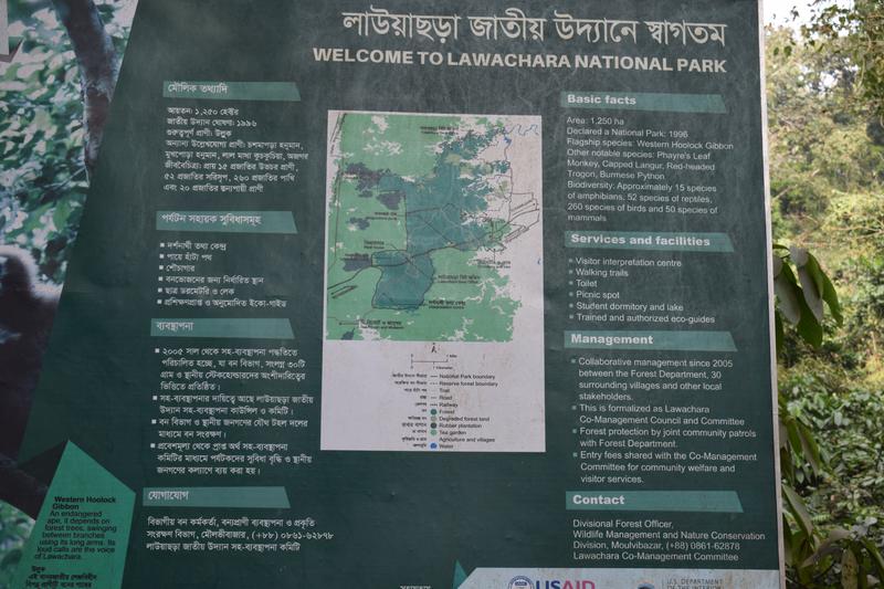 About Lawachara national park