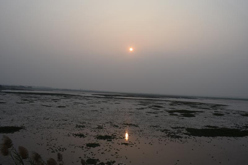 Amazing nature from Baikka Beel