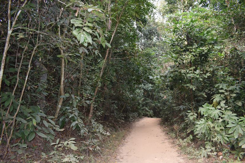 Lawachara national park Sreemangal