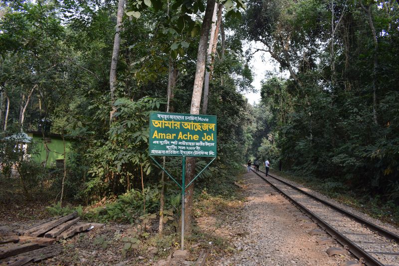 আমার আছে জল লাউয়াছড়া