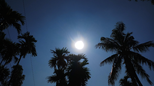 Sun shining pictures