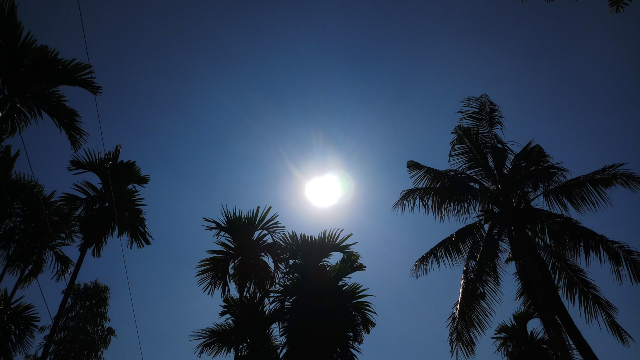 beautiful sunshine pictures