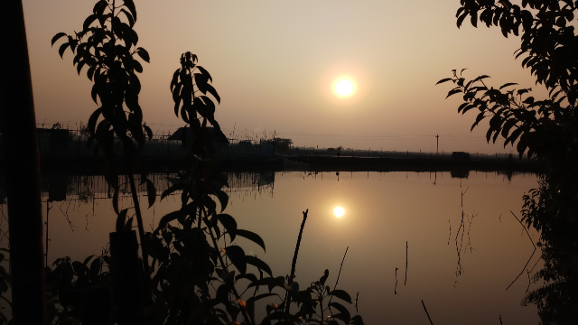 Beautiful nature and the sun before an evening