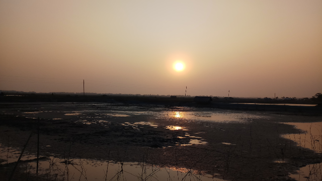 Beautiful nature before an evening