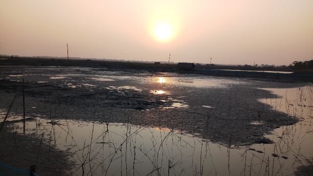 Beautiful nature images