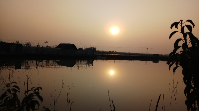 Beautiful nature picture before an evening