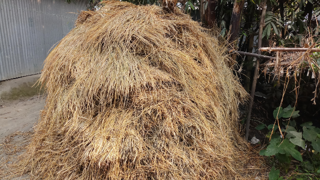 Pictures of haystack