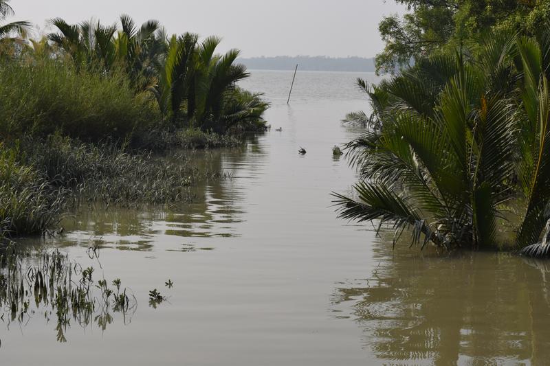 Amazing Harbaria Sundarban Eco-Tourism Center tour tips 2022 14 A small canal merged into the river in Sundarban