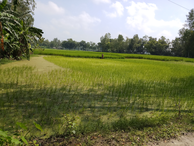 Village agricultural land 6 beautiful Pictures 1 Village agricultural land