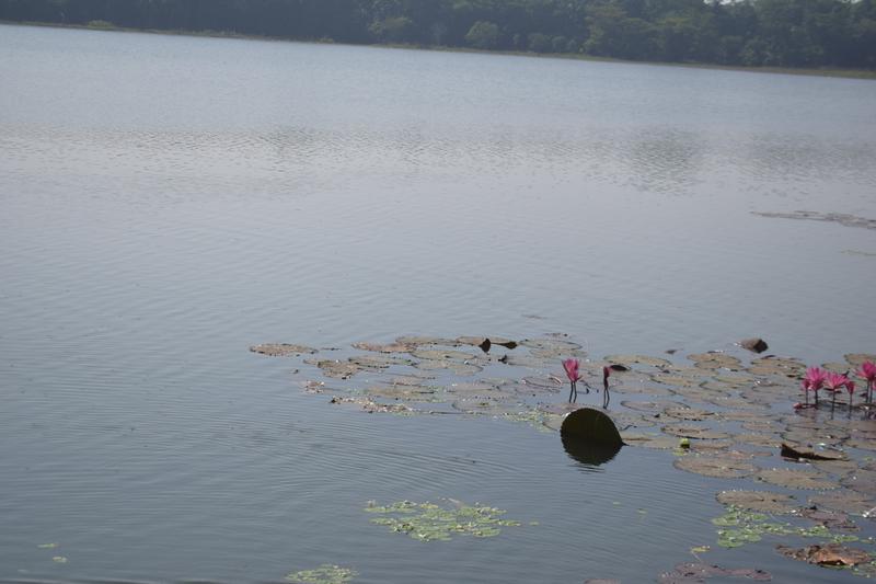 Bagerhat Khan Jahan Ali Dighi